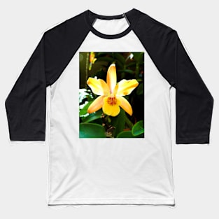Backlit Orchid Baseball T-Shirt